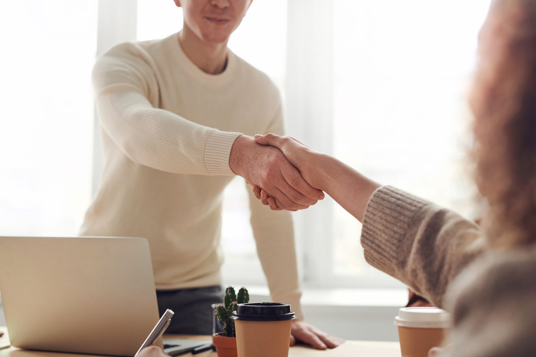 Business consultation handshake